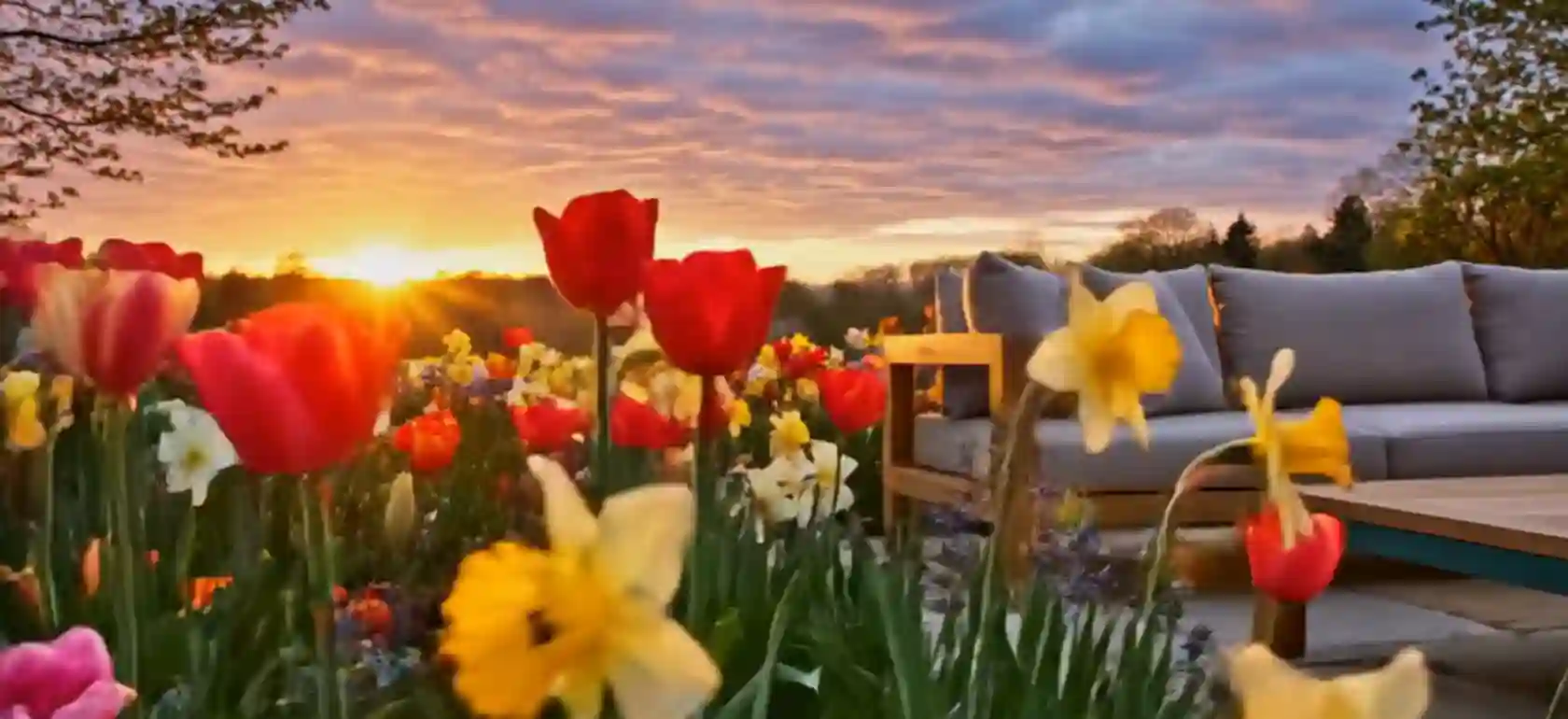 Spring sale | Shop Now