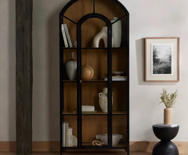 Bookcase or Shelves