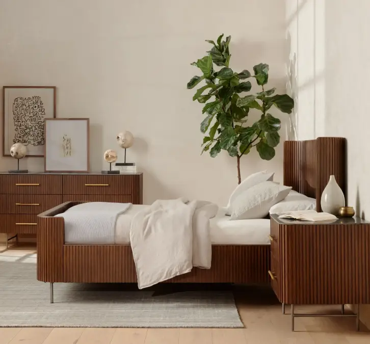 Minimalist bedroom with one tall statement plant