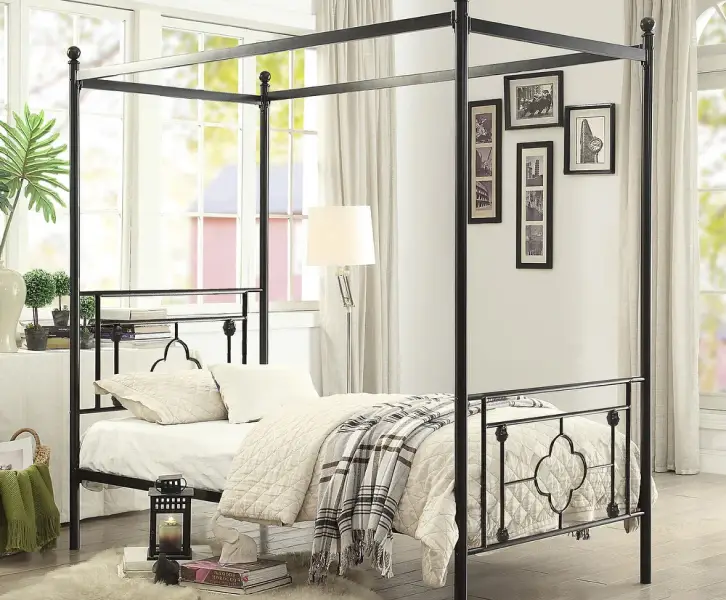 Large living room ideas