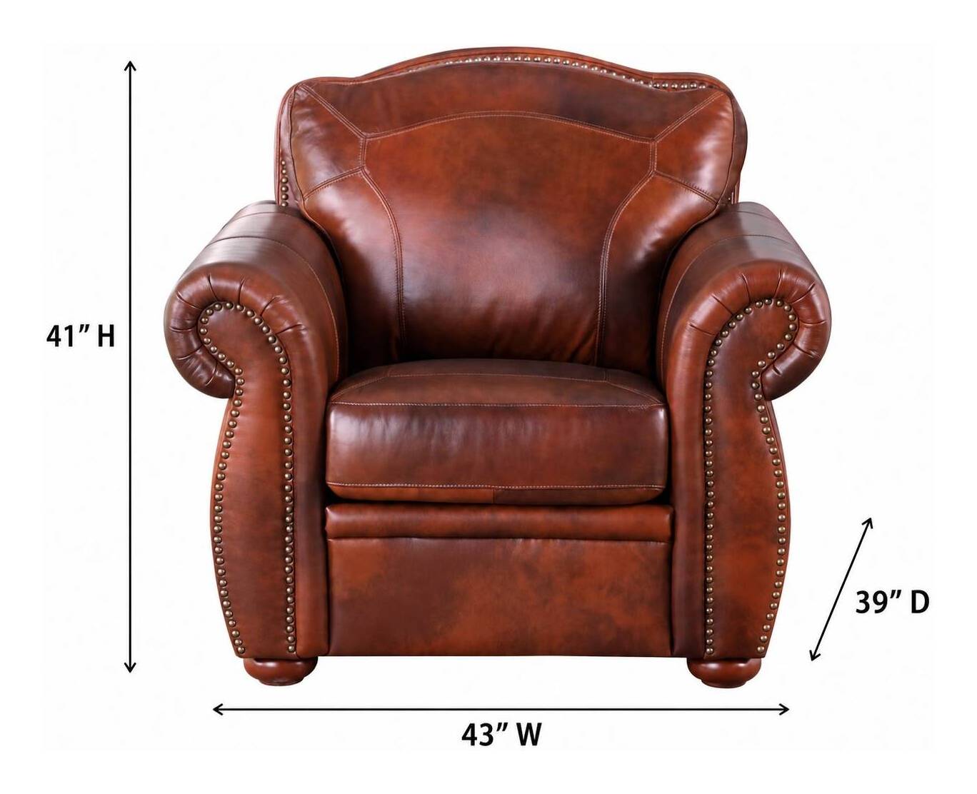 Ardentia Marco Leather Upholstered Accent Chair with Nailhead Trim