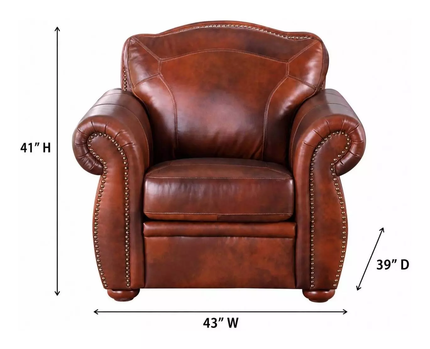 Ardentia Marco Leather Upholstered Accent Chair with Nailhead Trim