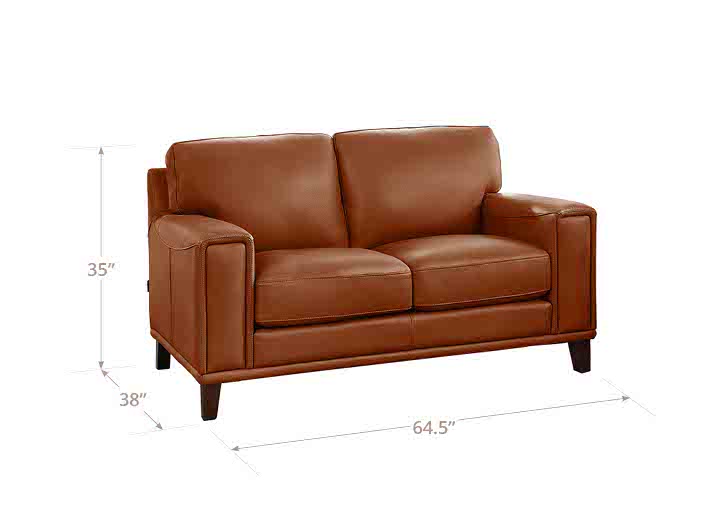 Halwyn Nutmeg Leather 65" Loveseat