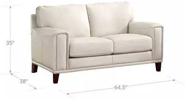 Halwyn Vanilla Leather 65" Loveseat
