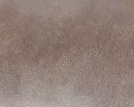 Pecan