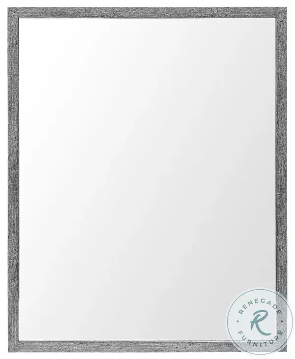 Bristol Gray 26" x 32" Vanity Mirror