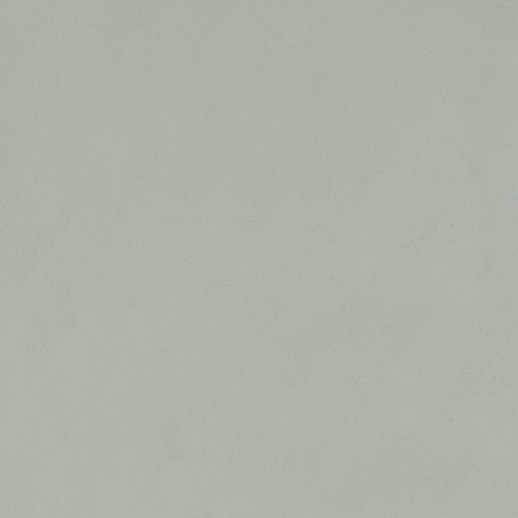 Thermosolis Grey And Chrome Acrylic Back Counter Height Stool Set of 2