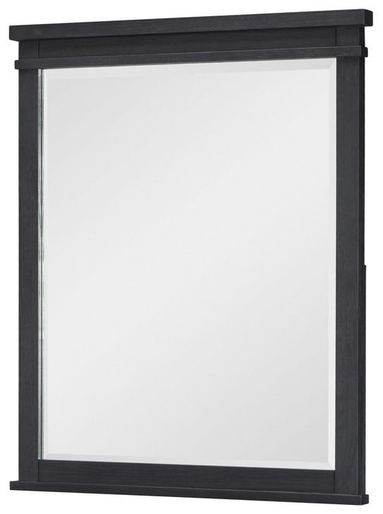 Flatiron Midnight Rectangular Dresser Mirror