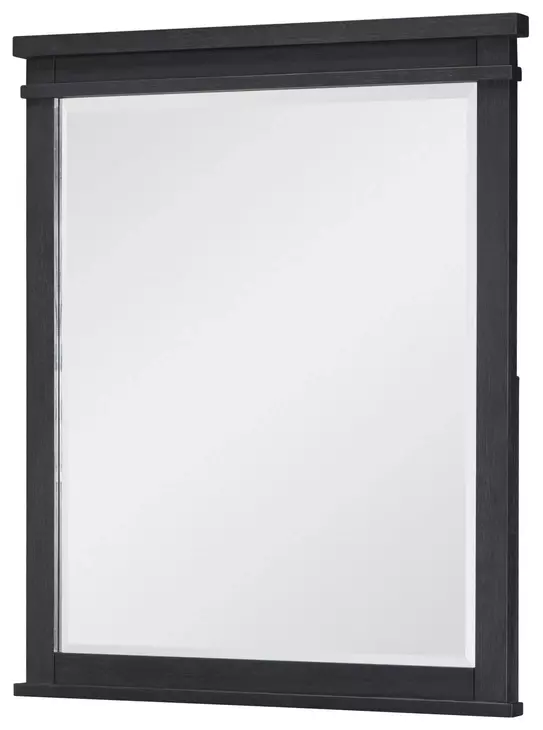 Flatiron Midnight Rectangular Dresser Mirror