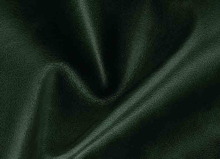 Picavel Green Leather Living Room Set
