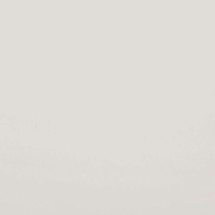 Sandy White Queen Panel Bed