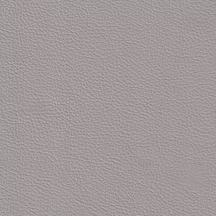 Calizor Vanilla Leather 66" Loveseat