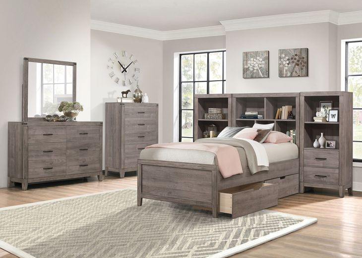 Woodrow Gray Twin Storage Wall Bed with Nightstand and Toybox