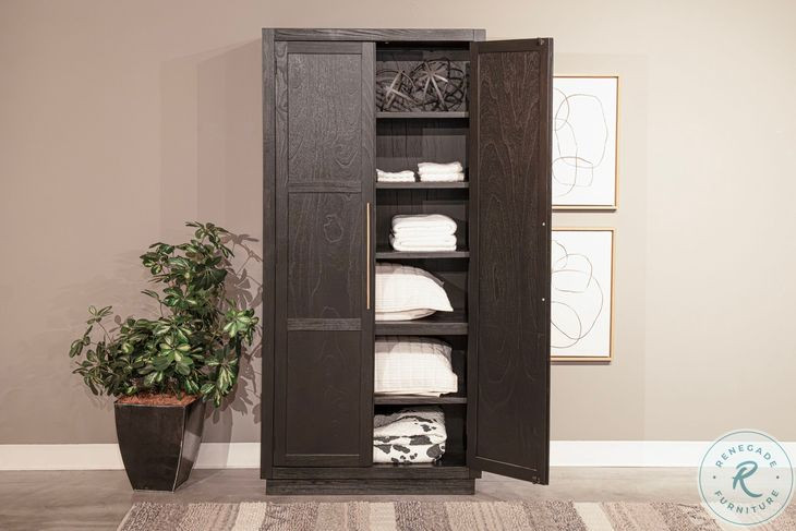 Rustic Refined Black 2 Door Storage Cabinet