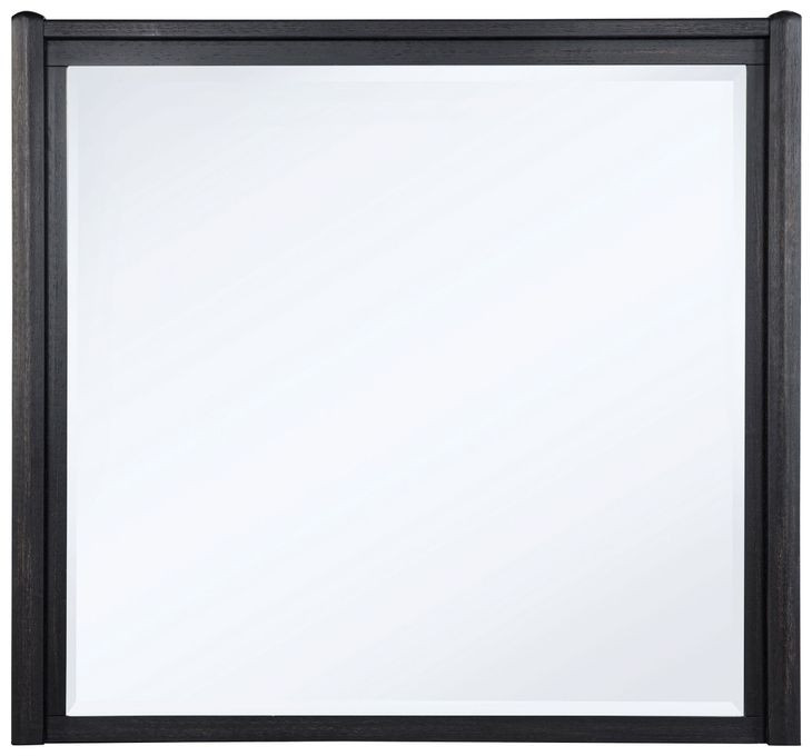 Leandro Burnished Black Rectangular Dresser Mirror