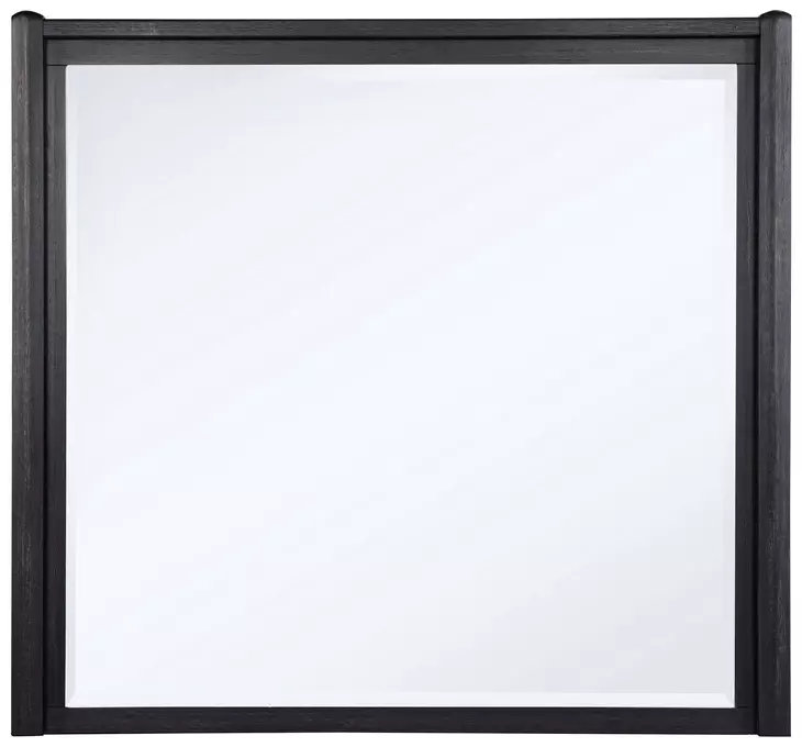 Leandro Burnished Black Rectangular Dresser Mirror