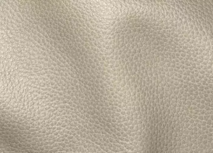 Camden Stone Leather 61" Loveseat with Nailhead Trim