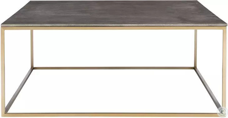 Trebon Charcoal Gray and Brushed Brass Cocktail Table