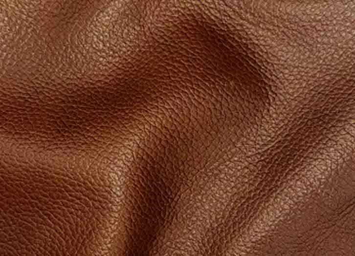 Colwyn Saddle Leather Living Room Set