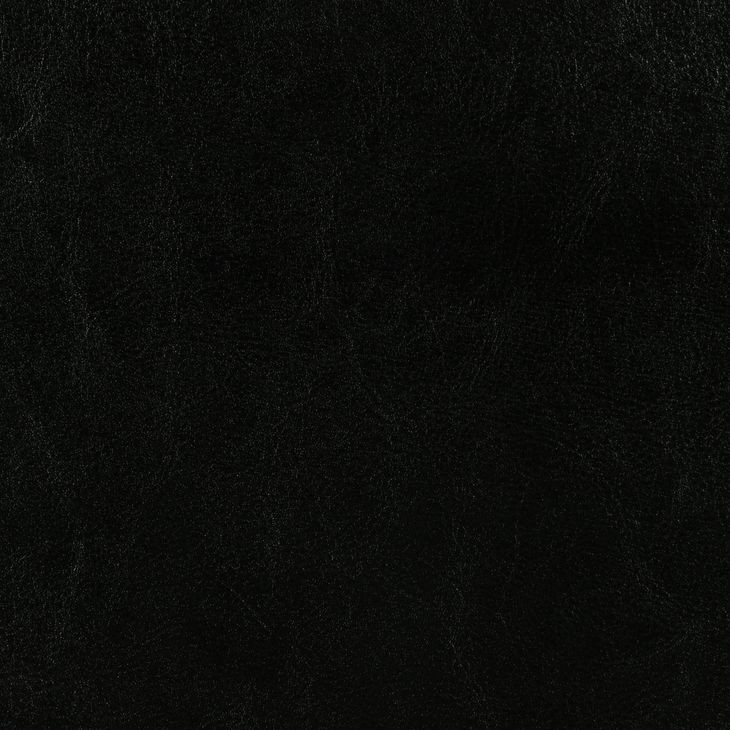 Dorian Black Upholstered King Panel Bed