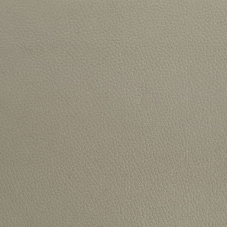 Medley Tan Queen Upholstered Platform Bed