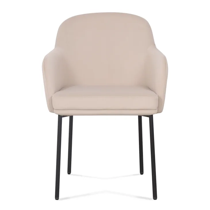 Sydney Taupe Performance Fabric Upholstered Arm Chair Set of 2