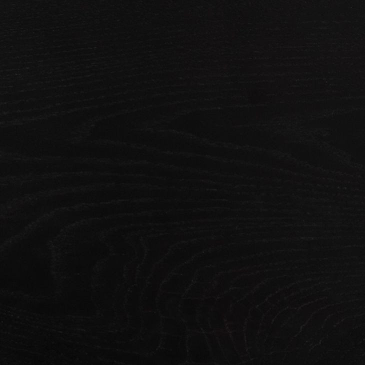 Lark Black 40" Rectangular 2 Drawer Writing Desk