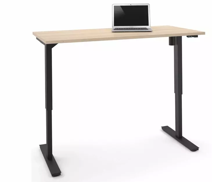 Universel 60" Northern Maple Electric Height Adjustable Table