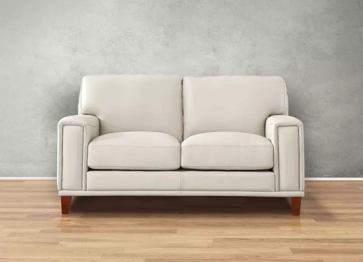 Halwyn Vanilla Leather 65" Loveseat