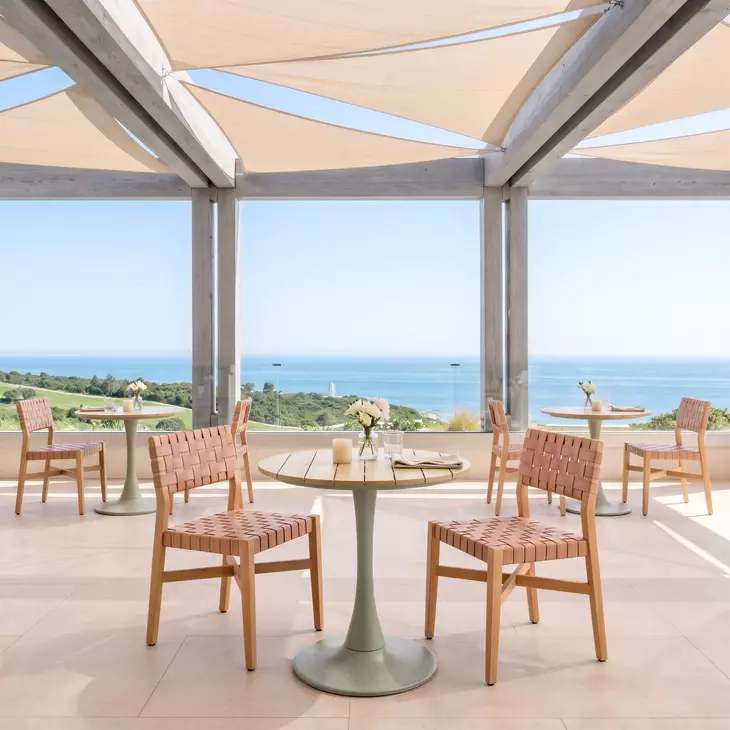Mizuya Brown Outdoor Dining Chair