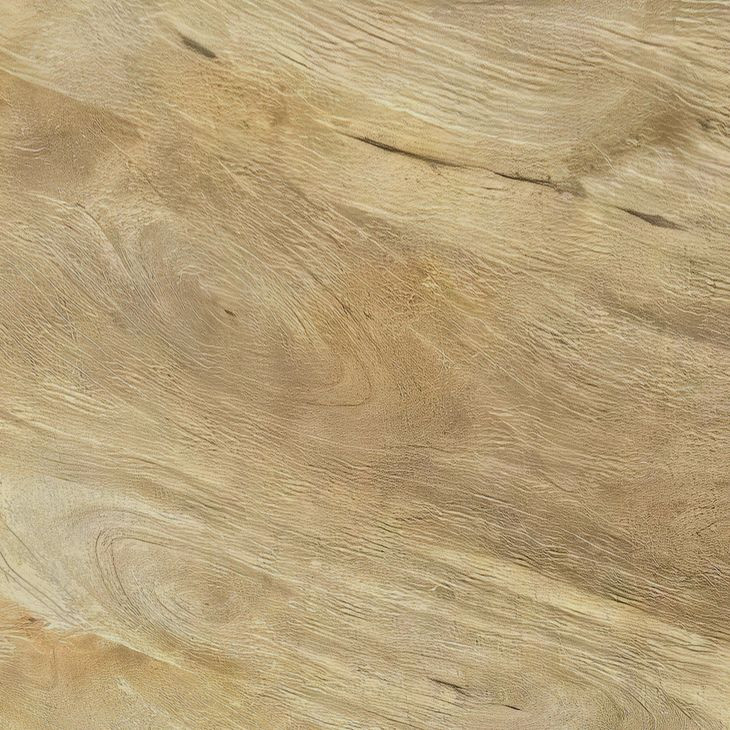 Touhy Natural Mango Round End Table