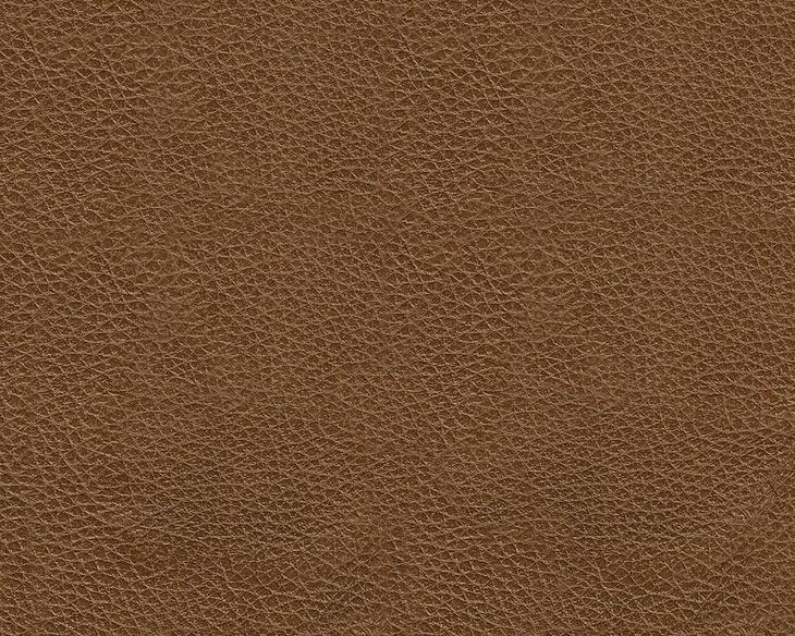 Brendola Amber Leather Upholstered Rectangular Ottoman with Nailhead Trim