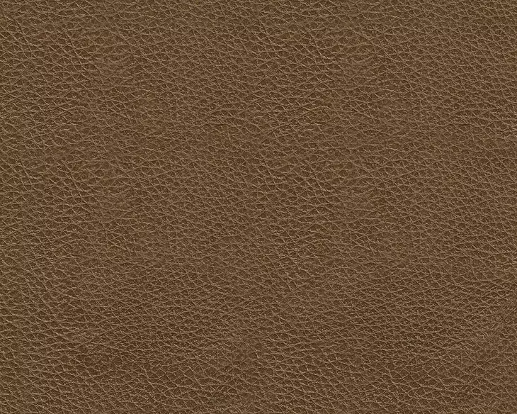 Brendola Amber Leather Upholstered Rectangular Ottoman with Nailhead Trim