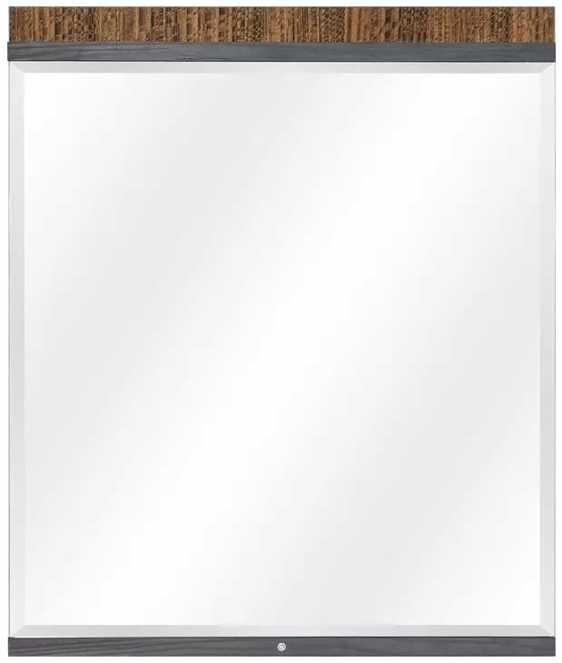 Kayner Charcoal Rectangular Dresser Mirror with LED