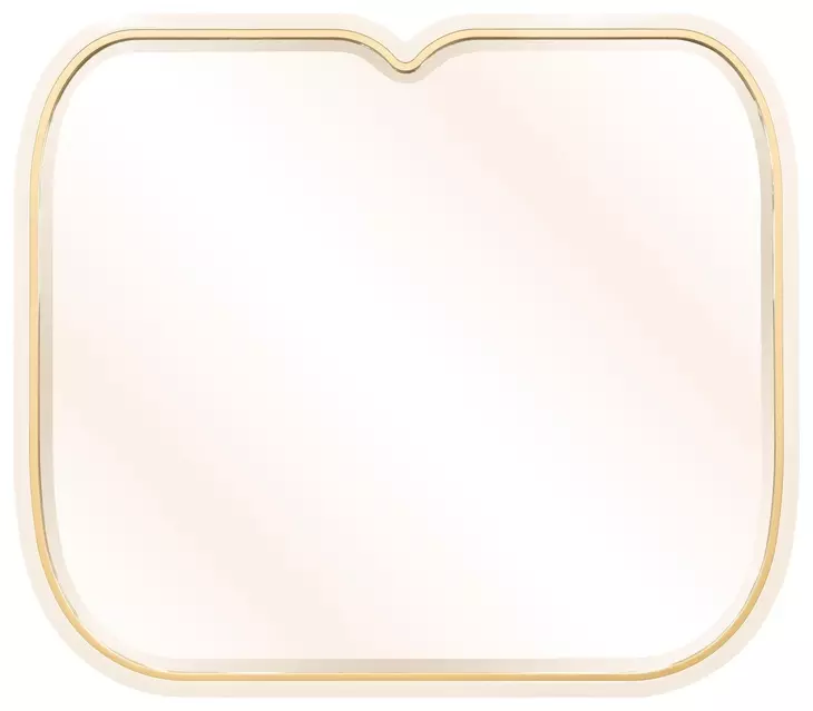 Scotts Square Light Champagne Rectangular Wall Mirror