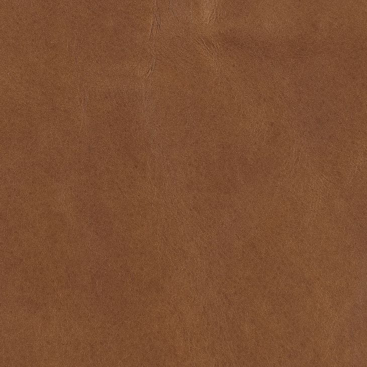 Rhythm Sun Drenched Oak and Lucent Bronze Upholstered King Platform Bed