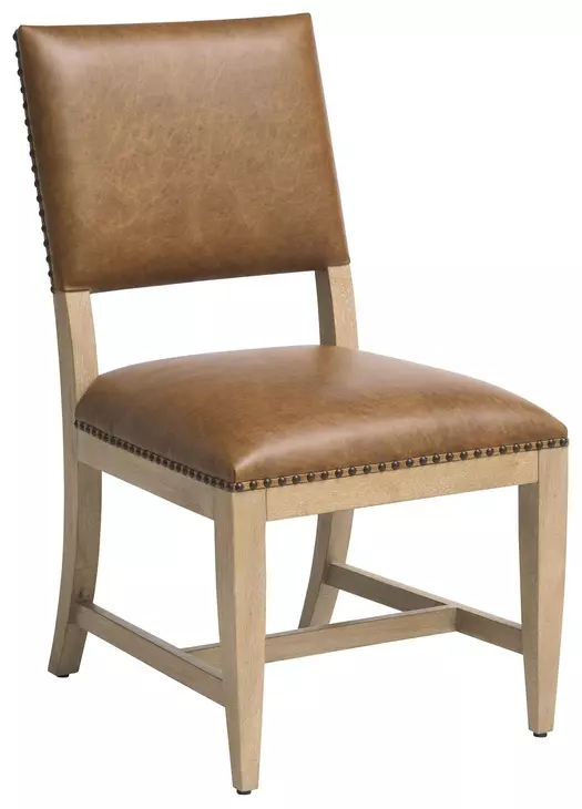 Colburn Brown Leather Upholstered Side Chair with Nailhead Trim