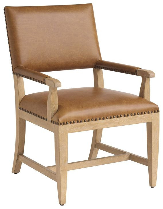 Colburn Brown Leather Upholstered Arm Chair with Nailhead Trim