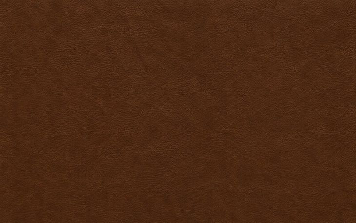 Inglewood Vintage Brown Derby Leather Upholstered Accent Chair