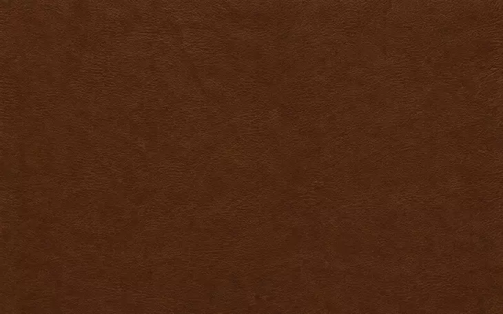 Inglewood Vintage Brown Derby Leather Living Room Set