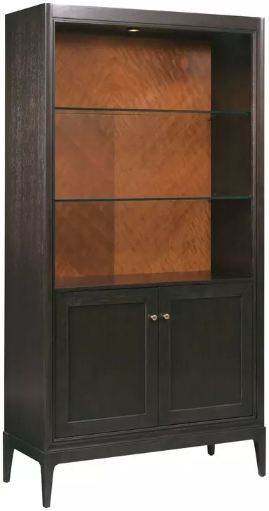 Hidden Treasures Victor Dark Stain 2 Door Bookcase Cabinet with LED