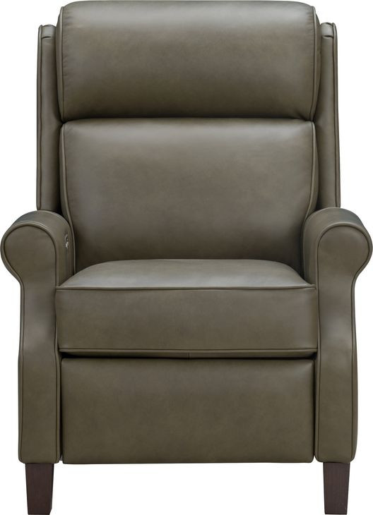 Amber Oasis Olive Leather Dual Power Recliner with Power Headrest and USB Charging