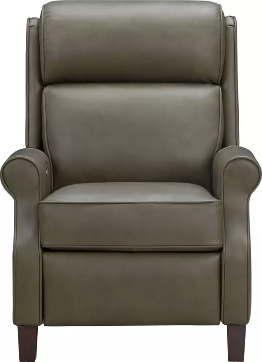 Amber Oasis Olive Leather Dual Power Recliner with Power Headrest and USB Charging