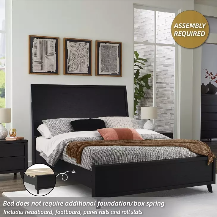 Danziar Black Queen Panel Bed