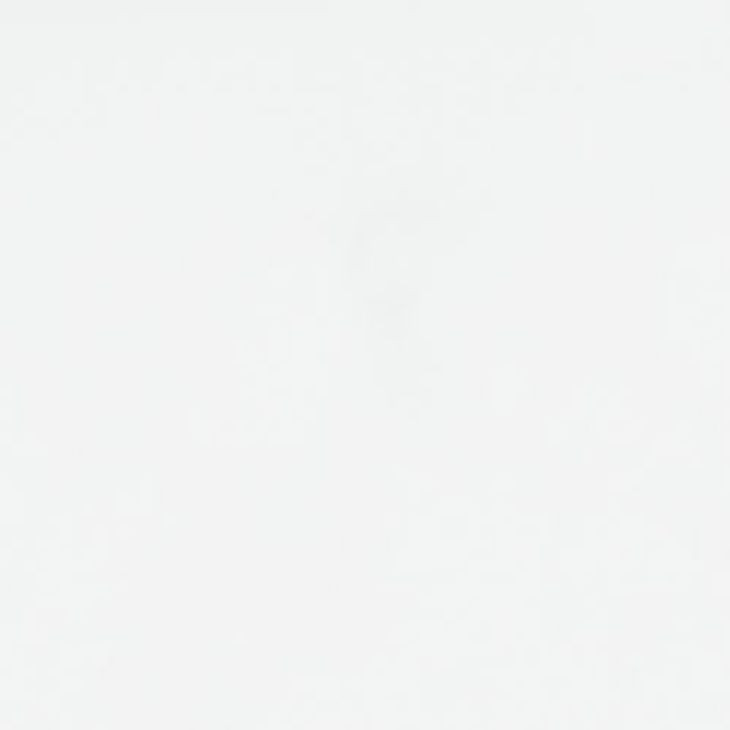 Bostwick Shoals White King Panel Bed