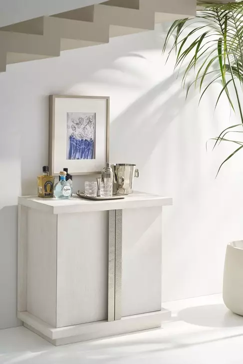 Carino Frost and Gray 2 Door Accent Chest