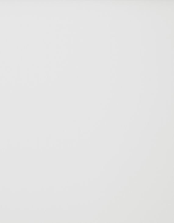 Fortman White Twin Storage Panel Bed