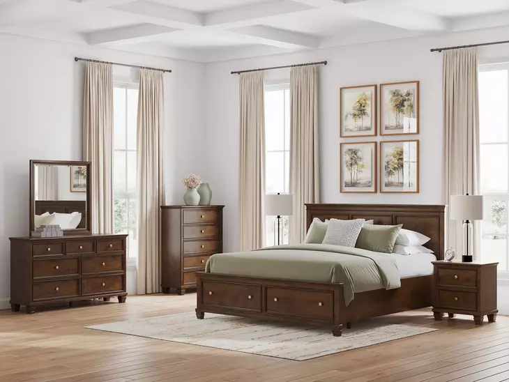 Danabrin Brown Storage Panel Bedroom Set