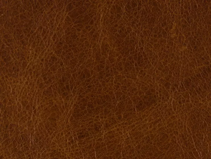 Shasta Balmoral Albert Leather Recliner