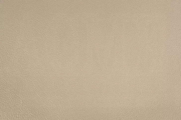 Sorina Beige and Antique Gold King Upholstered Panel Bed